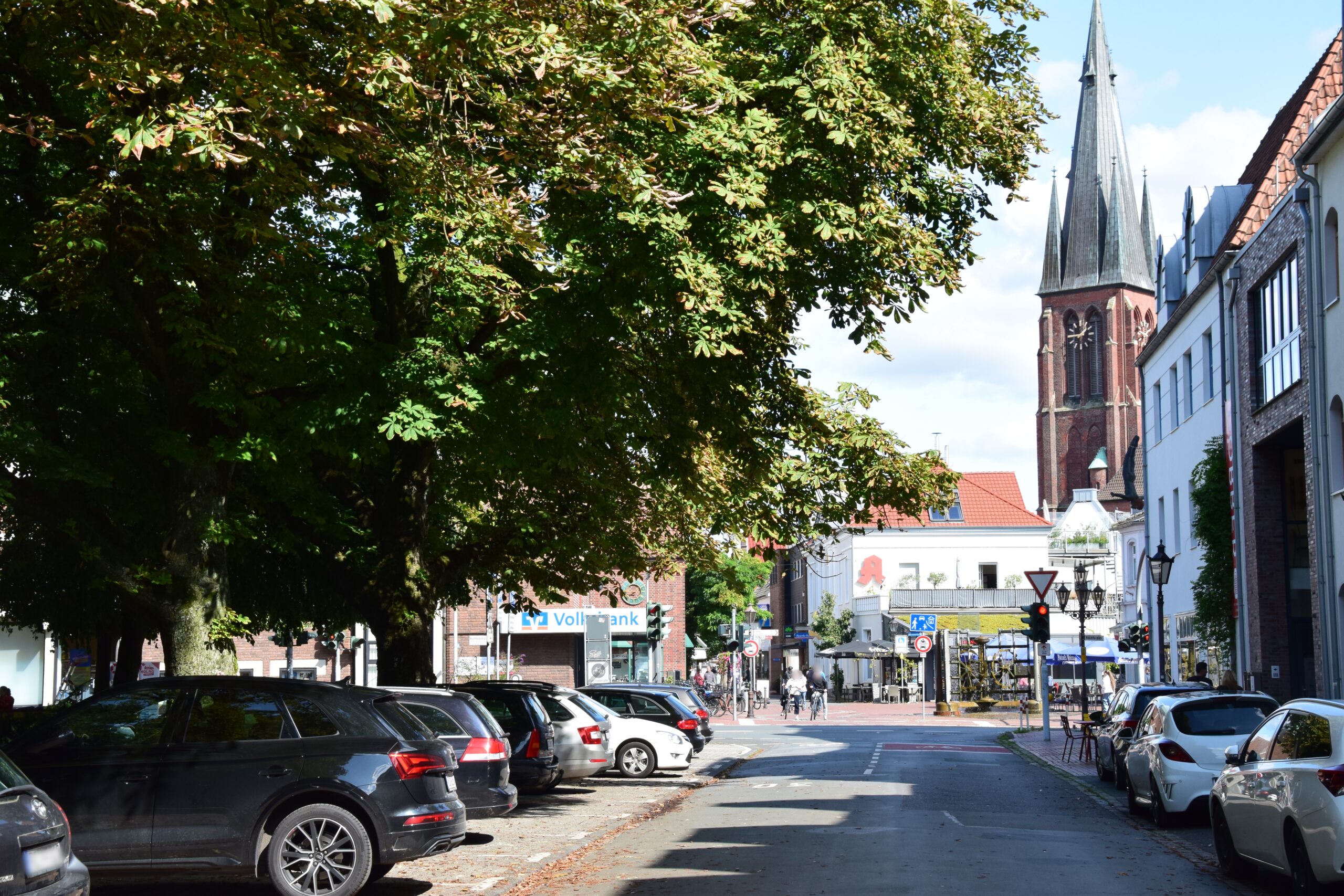 Kastanienbäume an der Koeppstraße in Haltern am See